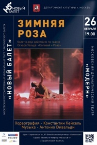 Зимняя роза Зимняя роза